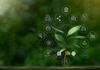 ESG: Chìa khóa cho sự phát triển bền vững của doanh nghiệp trong kỷ nguyên mới