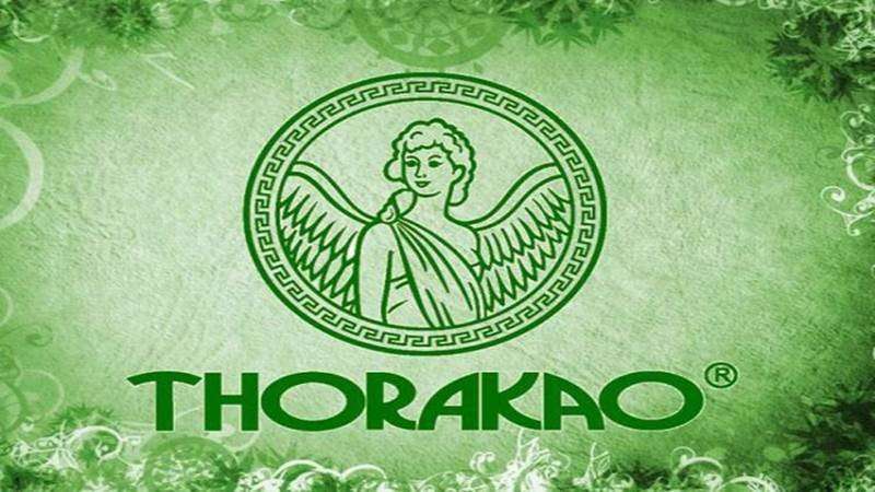Thorakao: Khi Sự “Lỗi thời” Là Một Bản Lĩnh Chiến Lược